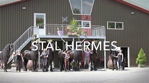 Stal Hermes 